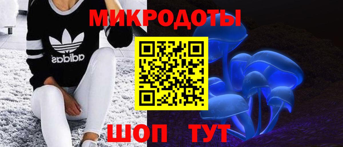 Галлюциногенные грибы Cubensis  Вход с VPN  что такое   Галлюциногенные грибы Psilocybine cubensis  Аргун 